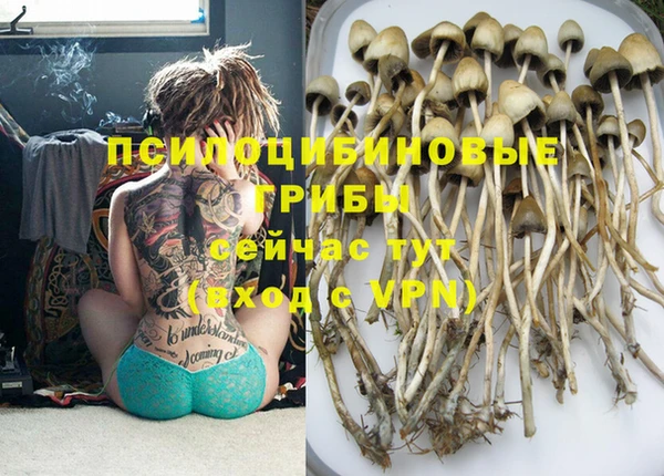 индика Абдулино