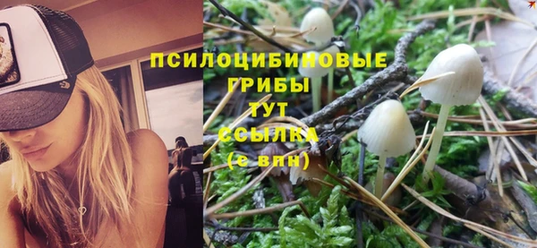 амф Фёдоровский