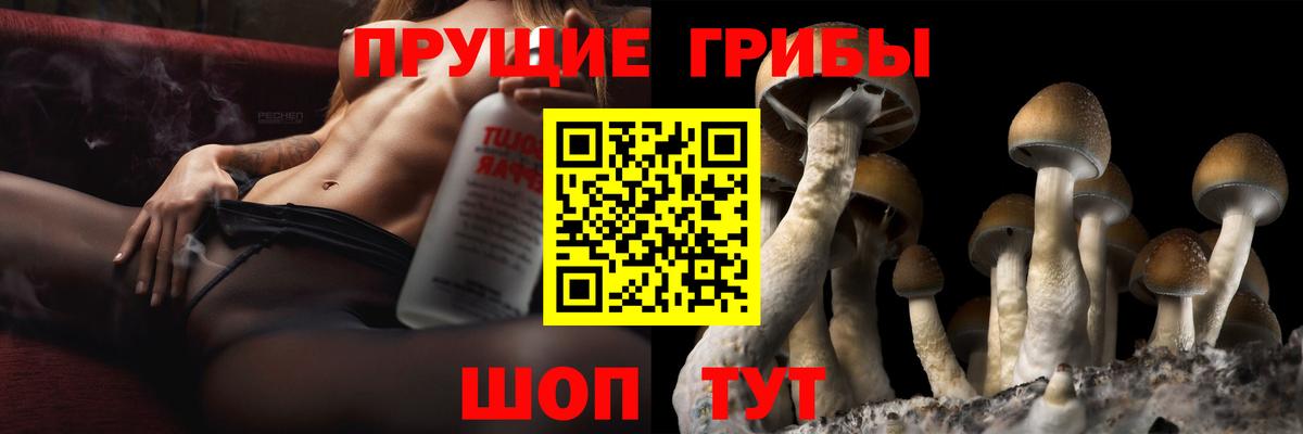 Галлюциногенные грибы Cubensis  Вход с VPN  Белая Калитва 